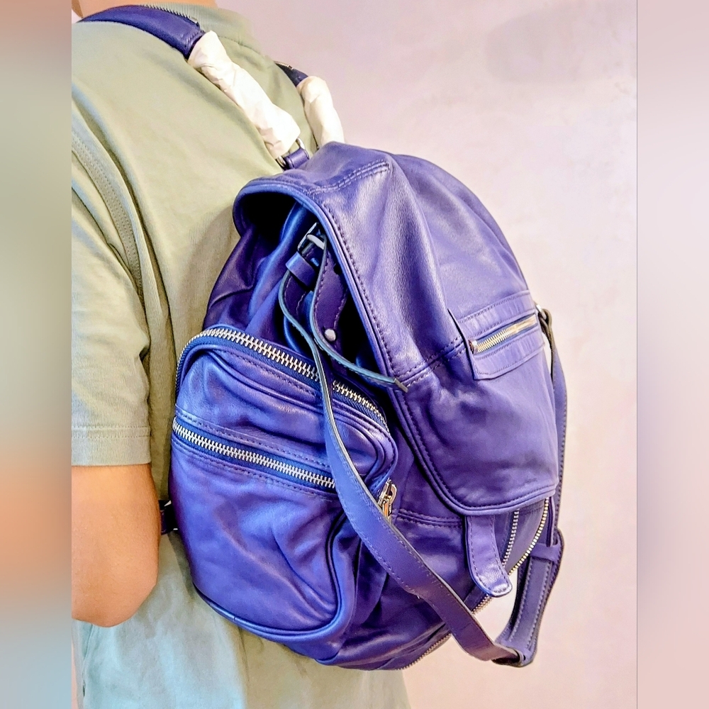 Alexander Wang Backpack - Picture 3 of 12